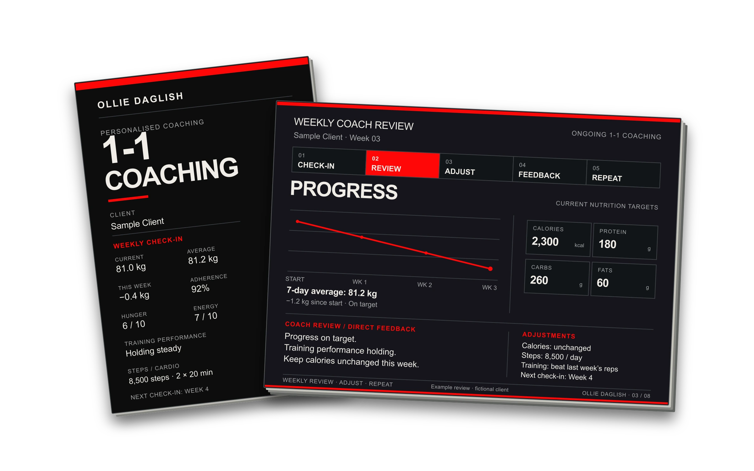 1-1 Coaching check-in preview